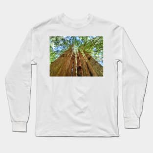 Redwood Grove Long Sleeve T-Shirt